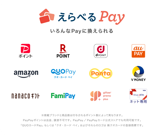CRV_campaign250616_pay.png