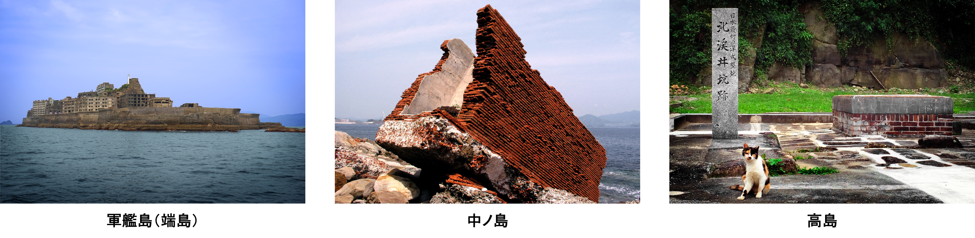 T_project_photo001.png