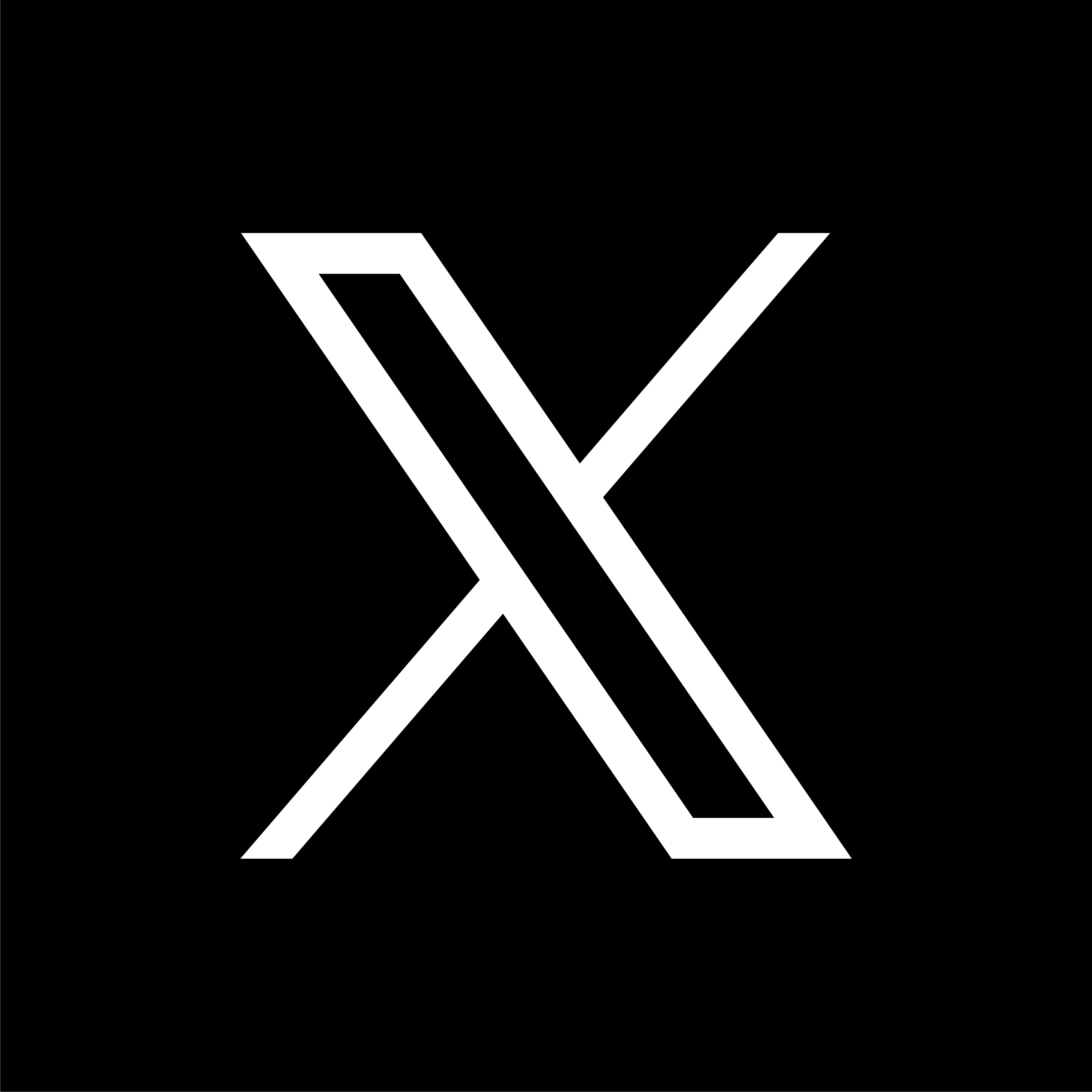 X(Twitter)